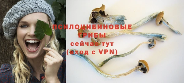 герыч Медногорск