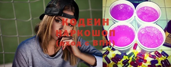 гашик Аркадак
