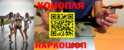 гашик Будённовск