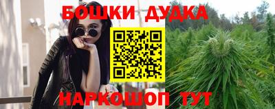 гашик Будённовск