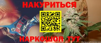 гашик Будённовск