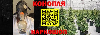 гашик Будённовск