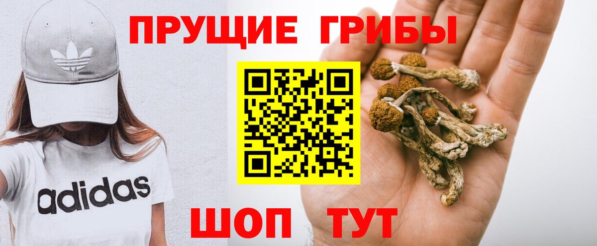 Псилоцибиновые грибы Psilocybe  Вход с VPN  Североморск 